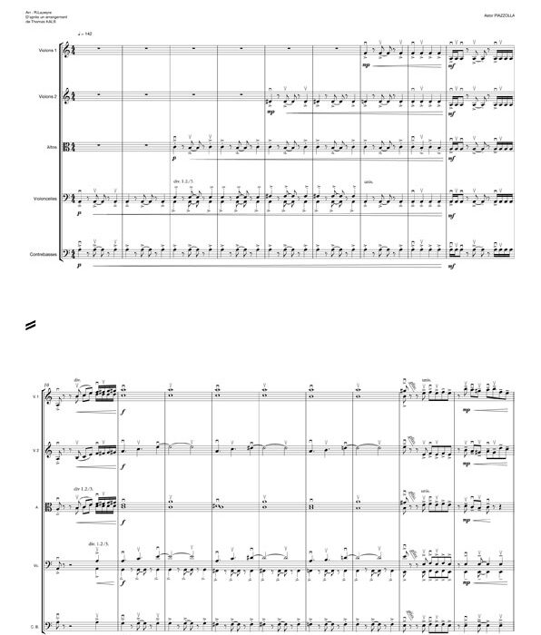 Libertango de PIAZZOLLA (orchestre de chambre)
