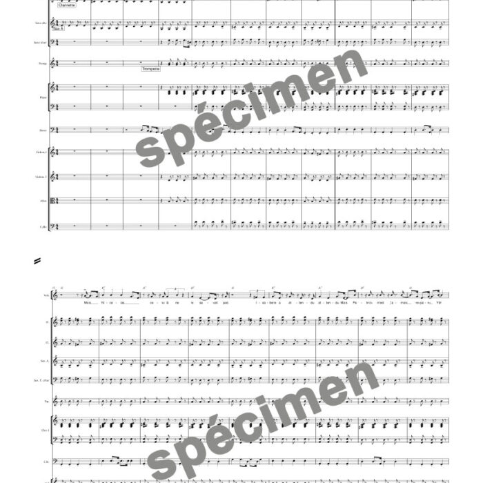Les histoires d'amour (orchestre et chant)