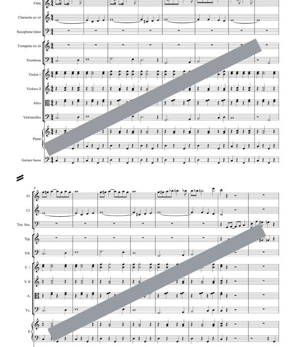 Le troisième homme (orchestre de chambre)