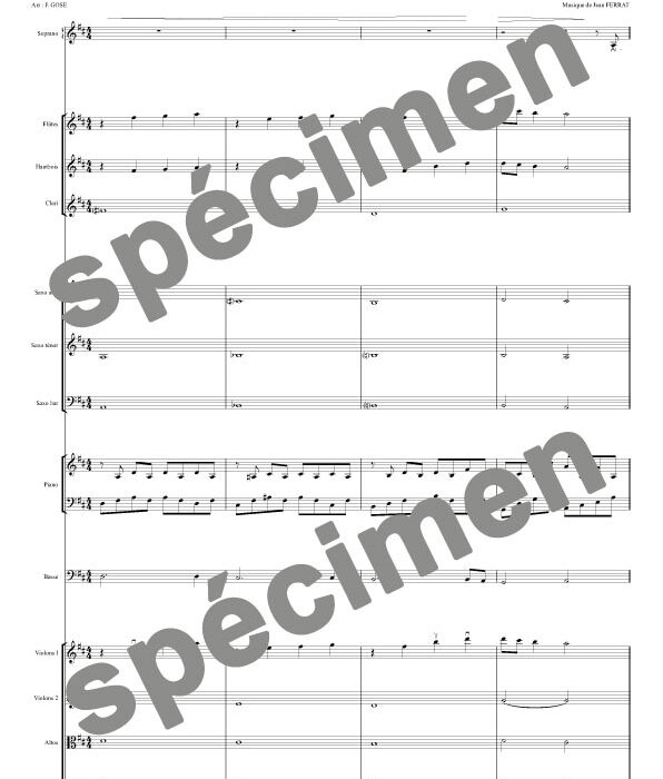 Aimer à perdre la raison (orchestre et chant)