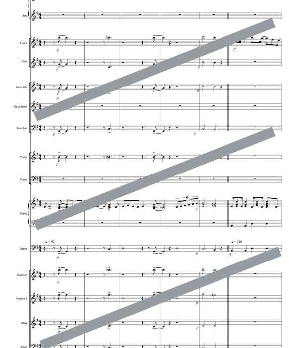Brasil (orchestre et chant)