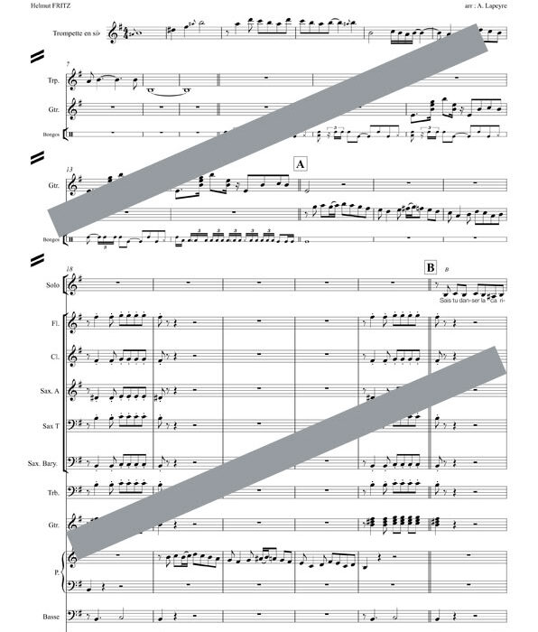 La carioca (orchestre et chant)