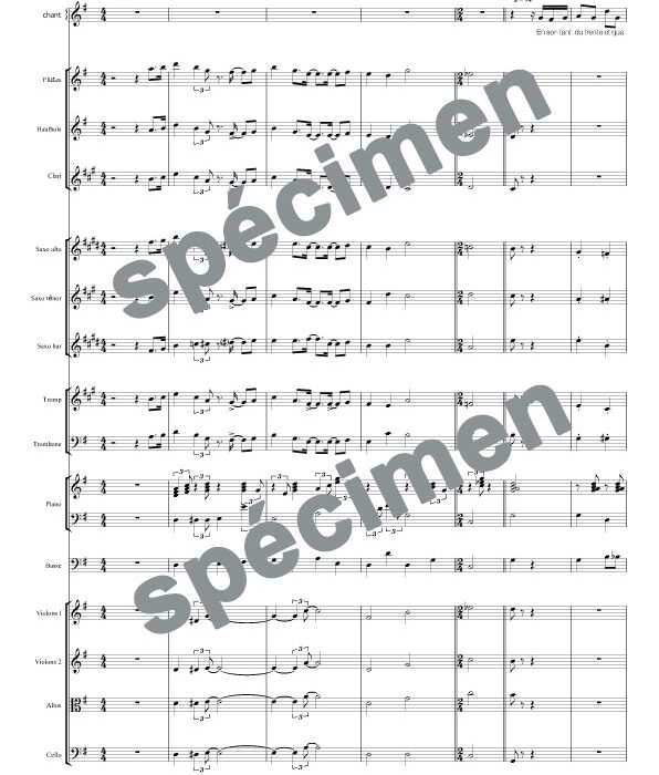 Dans la vie faut pas s'en faire (orchestre et chant)