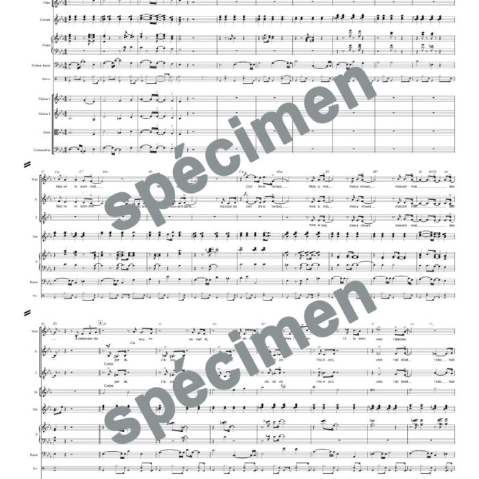 Mes amis, mes amours, mes emmerdes (orchestre et chant)
