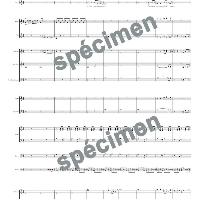 Poupée de cire poupée de son (orchestre et chant)