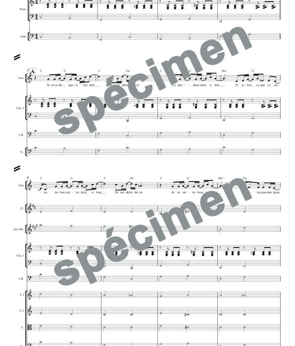 Chanson sur ma drôle de vie (orchestre et chant)