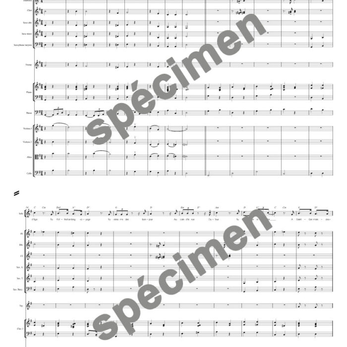 Il n'y a plus d'après (orchestre et chant)