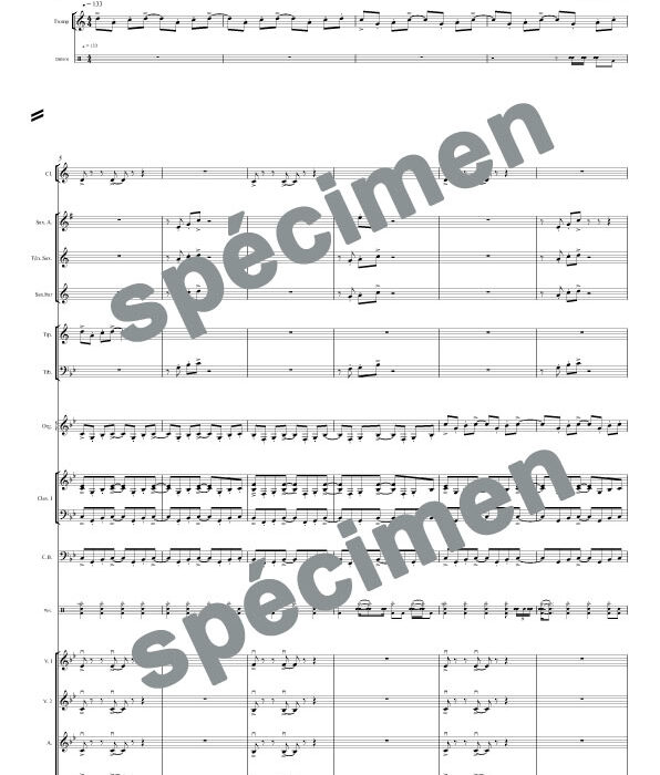 Noir c'est noir (orchestre et chant)