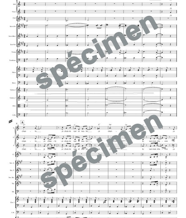 Je chante (orchestre et chant)