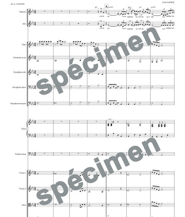Misty (orchestre et chant)
