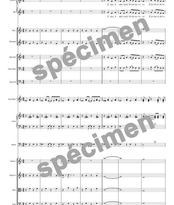 Aguas de março (orchestre et chant)