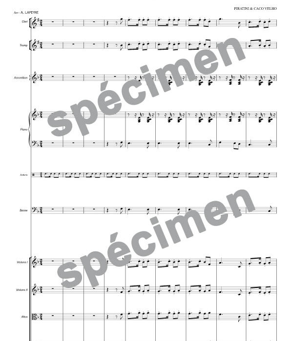 Barco negro (orchestre et chant)