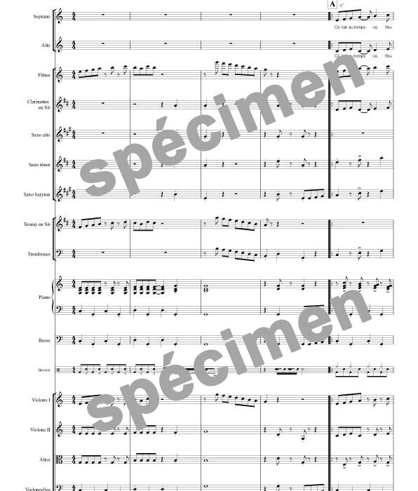 Bruxelles (orchestre et chant)