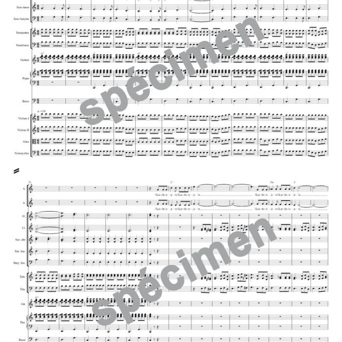 Guadalajara (orchestre et chant)