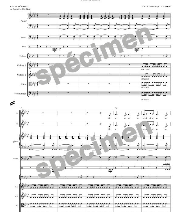 "Donnez, donnez" Les Misérables (orchestre et chant)