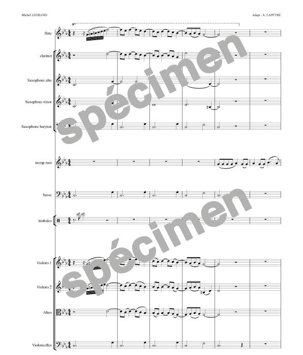 Les parapluies de Cherbourg (orchestre)