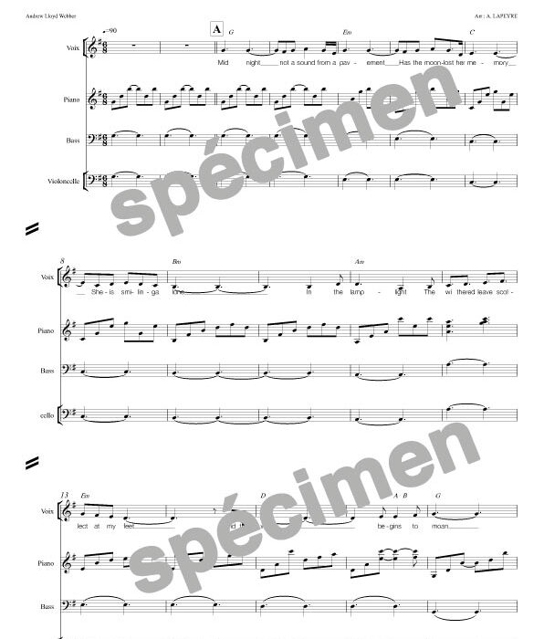 "Memory" Cats (orchestre et chant)