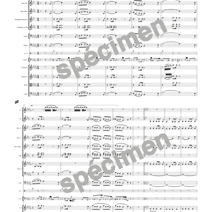 "Pitié pitié" Les Misérables (orchestre et chant)