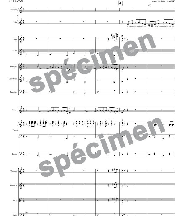 Tube de toilette (orchestre et chant)