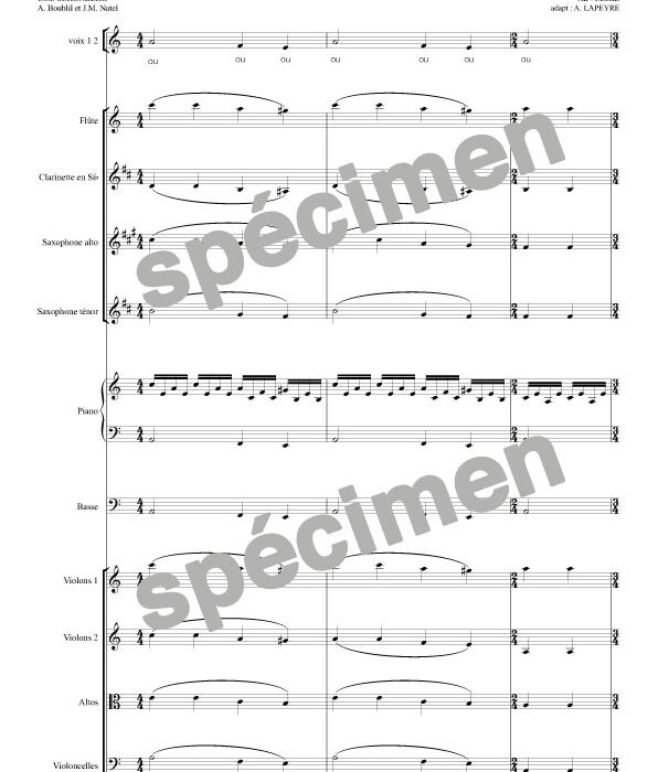 "Mon prince est en chemin" Les Misérables (orchestre et chant)