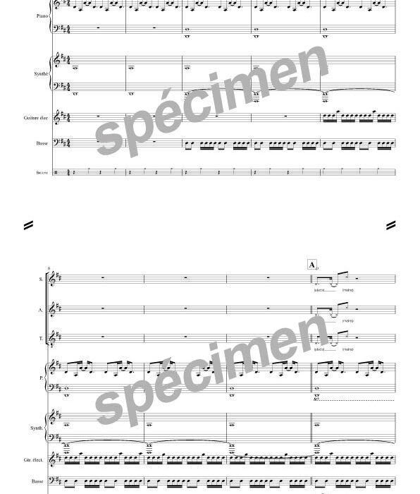 A call to arms/vox populi (chant et orchestre)