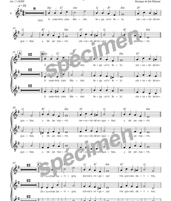 A vuestros pies Madre (chant)