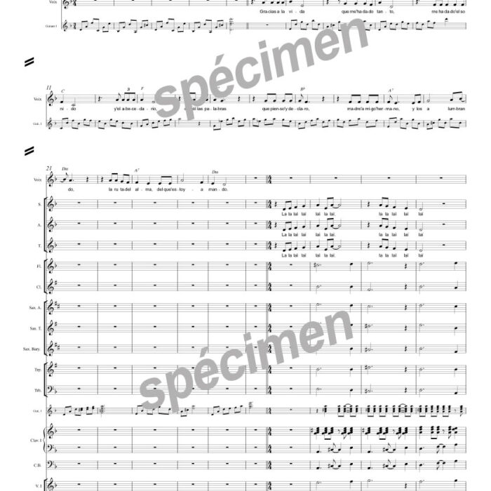 Gracias a la vida (chant et orchestre)