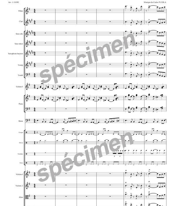 Hasta siempre (chant et orchestre)