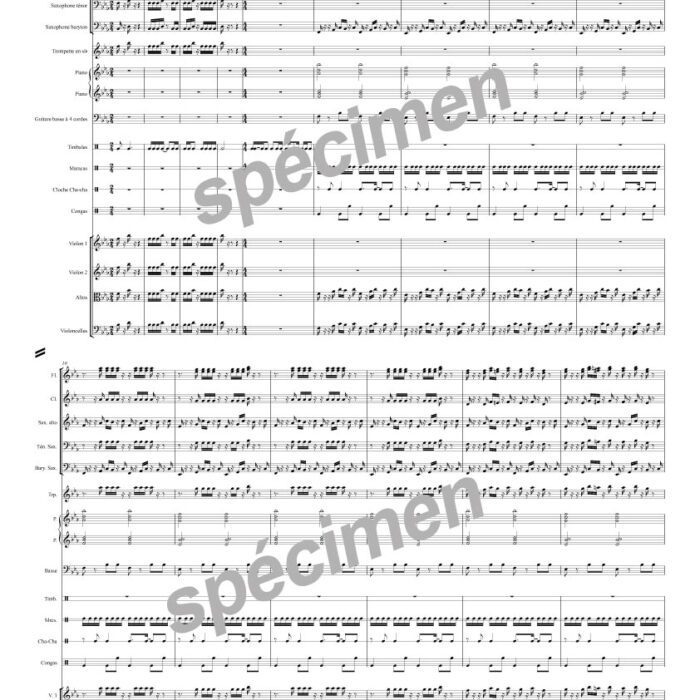 Mambo N°5 (orchestre)