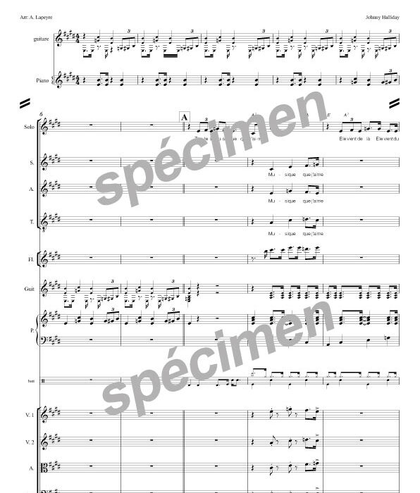 Toute la musique que j'aime (chant et orchestre)