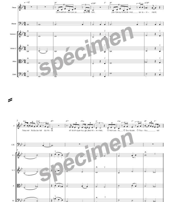 Toulouse (chant et orchestre)