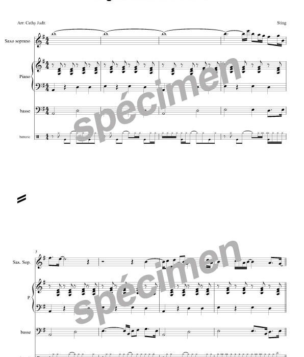 Englishman in New York (chant et orchestre)