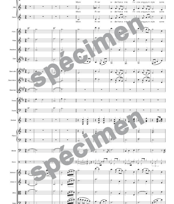 Moon River (chant et orchestre)