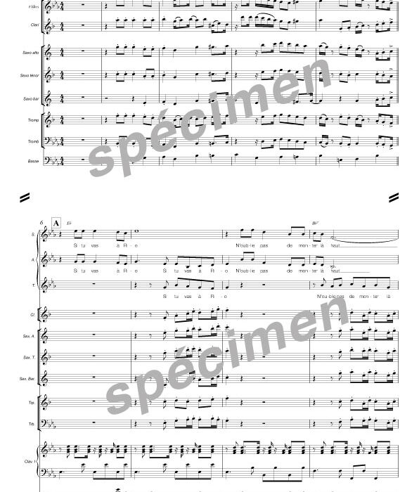 Si tu vas à Rio (chant et orchestre)