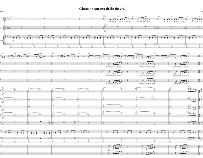 Chanson sur ma drôle de vie (chant+orchestre)