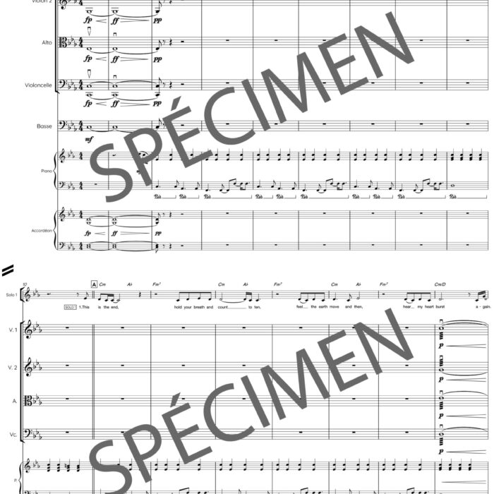 Skyfall (orchestre et chant)