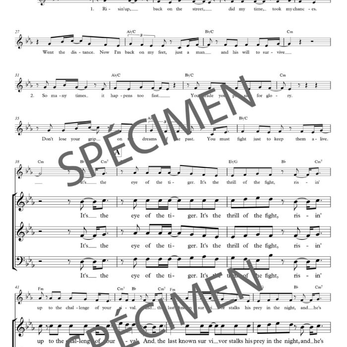 Eye of the tiger (orchestre et chant)