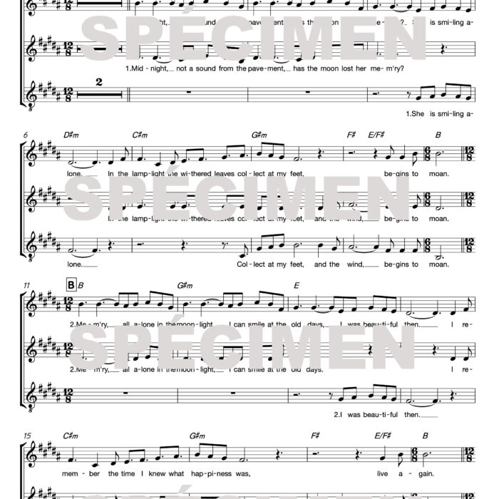 "Memory" extrait de la comédie musicale Cats (chant)