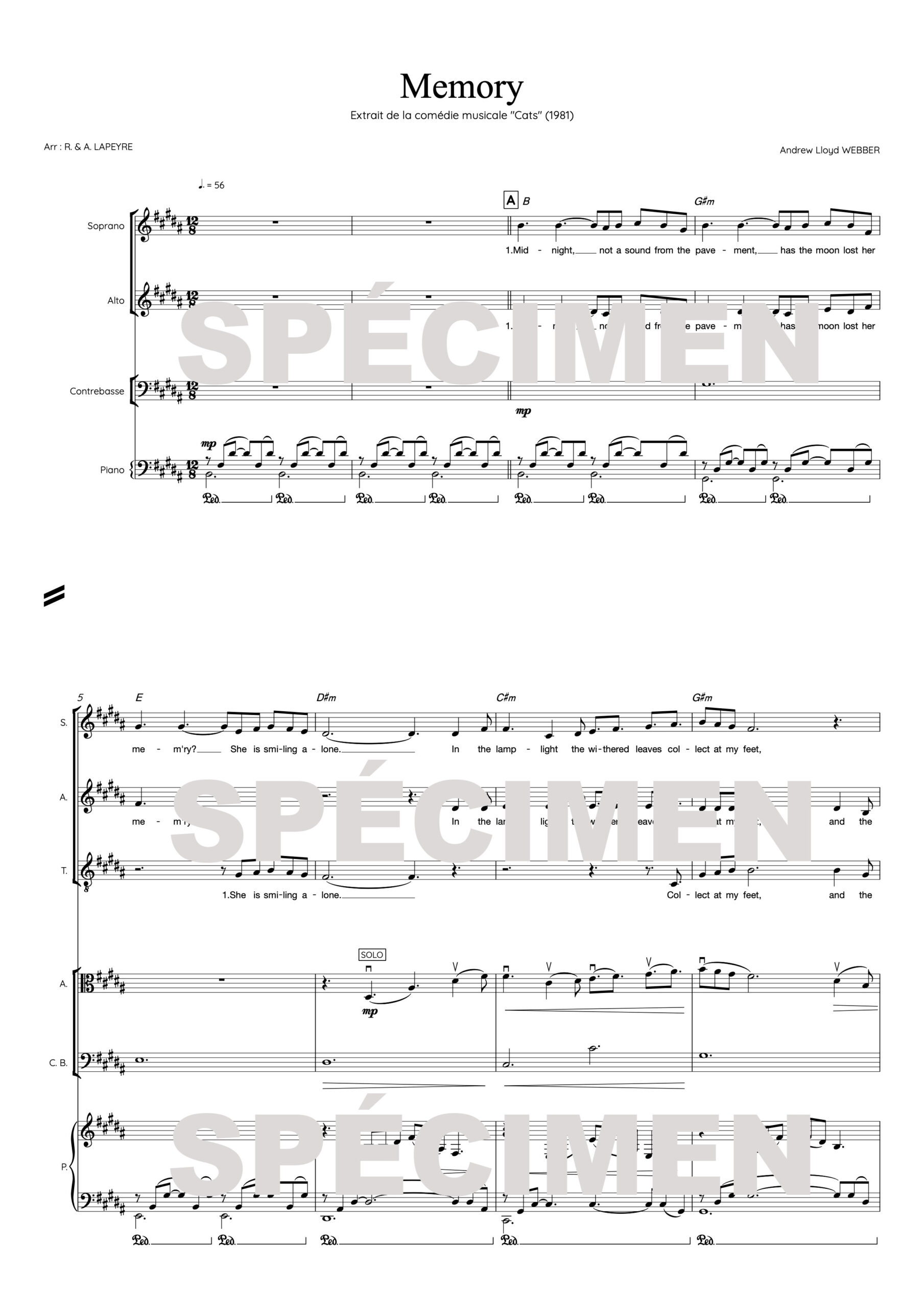 Memory orchestre tronqué "Memory" extrait de la comédie musicale Cats (chant)